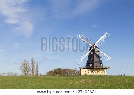Photograph of the historic Danish windmill Kanehoej Moelle.