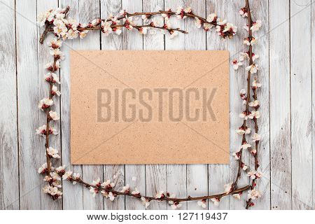 Spring Blossom over wood background. Spring Flowers on wooden background