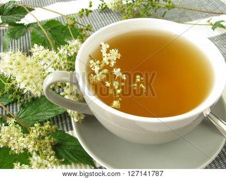 Cup of herbal tea with meadowsweet and fresh herbs