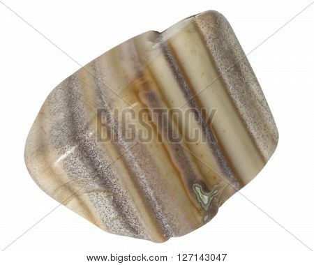 Striped beige and brown flint pebble macro isolated on white background