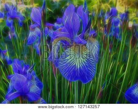 Blue and purple flowers with glowing light