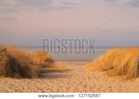 Beach of baltic sea with beach grass