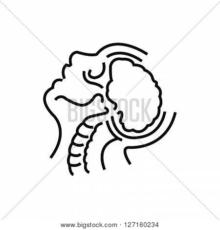 Brain Anatomy, Medical Doctors Otolaryngology Icon, Line Icon Style