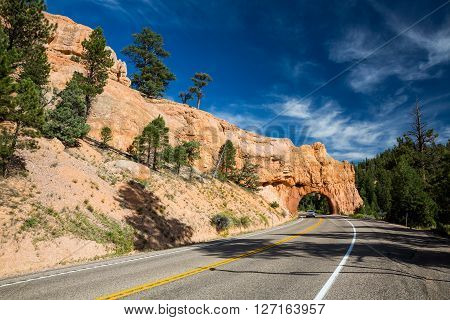 Dixie National Forest - Red Canyon, Utah