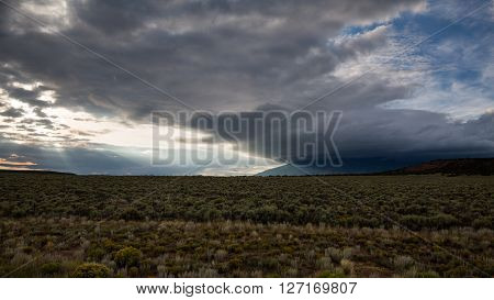 Wide Open Range In Alamosa County, Colorado