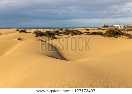 Maspalomas Sand Dunes And City During Sunrise - Maspalomas Gran Canaria Canary Islands Spain