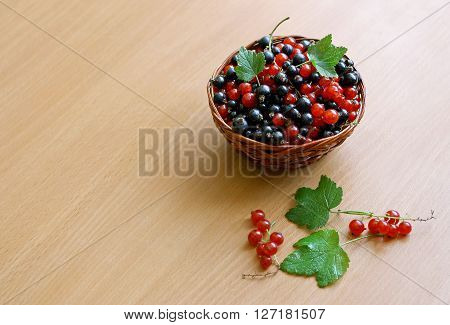 Red and black currants collected in a small wicker basket. The basket stands on a wooden surface. Next to them are some green leaves currant.