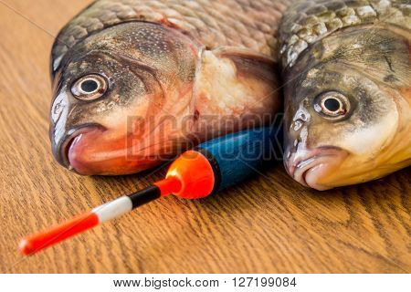 carp with fishing tackle on the wooden background