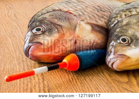 carp with fishing tackle on the wooden background