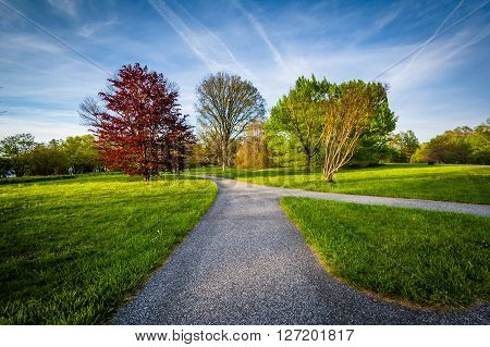 Walkway And Trees At Cylburn Arboretum, In Baltimore, Maryland.