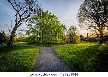 Walkway And Trees At Sunset, At Cylburn Arboretum, In Baltimore, Maryland.