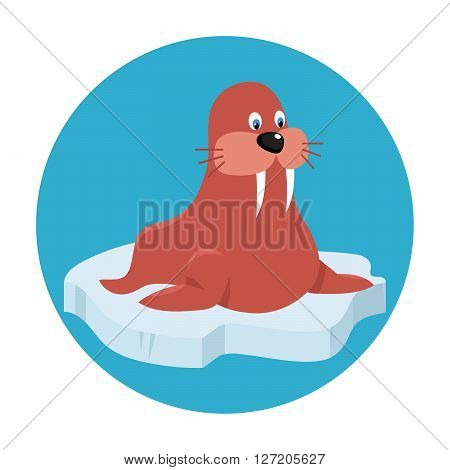 Vector illustration of warlus. Animal funny illustratioin