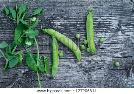Vintage wooden surface for design with beautifully located pods of green peas