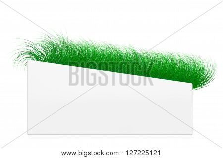 Grass in White Ceramics Planter on a white background. 3d Rendering