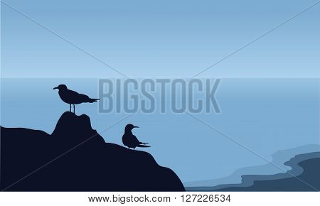 Vector bird in sea with blue backgrounds
