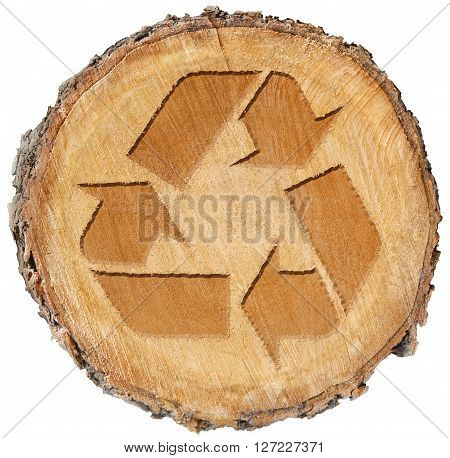recycle symbol on wood section engraved into  tree