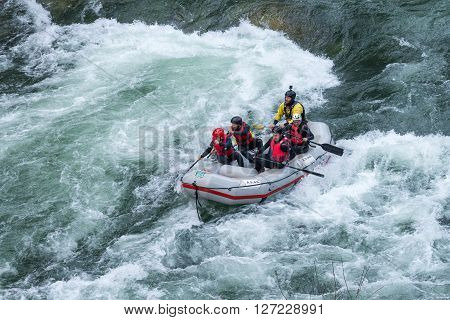 Grey Raft Team