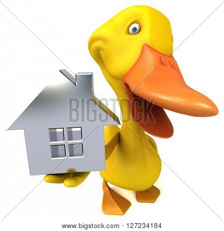 Duck