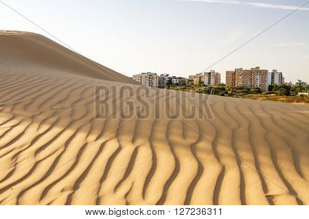 Beautiful photo of a modern city on the border of the desert .