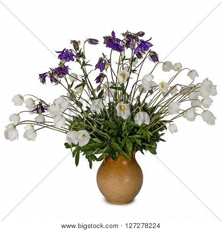 Bouquet of flowers anemones and catchments in a clay jug isolated on white