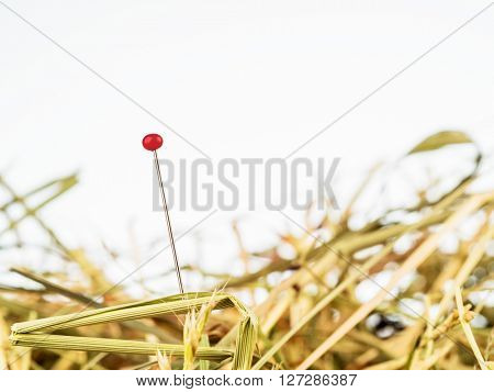 needle in a haystack. saying for challenge in managemen