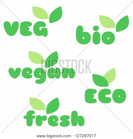 Veg bio vegan eco fresh symbols with leaves vector set