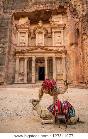 Close-up front view of the famous Al-Khazneh (aka Treasury) with camels resting next to it in the ancient city of Petra (Jordan)