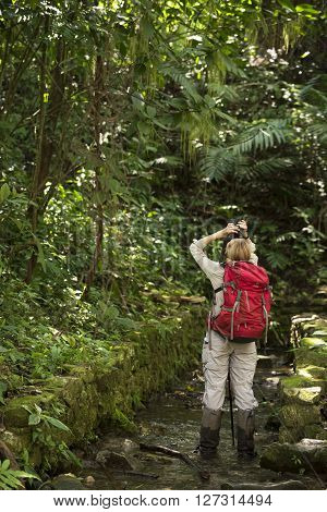 Tourist Exploring At Palenque Rainforest In Mexico