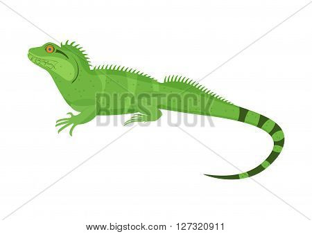 Chinese water dragon vector illustration isoladed on a white background