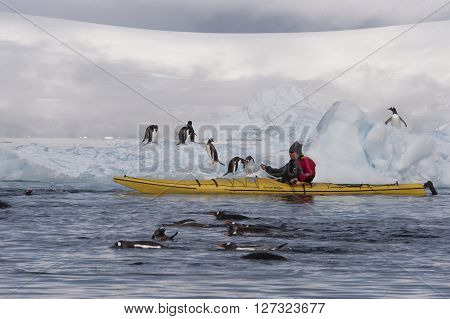 Beatyful Icebergs in Antarctica travel on the kayak