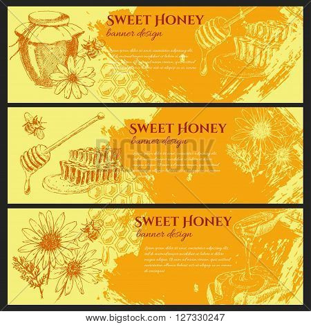 vector honey elements set. stock banner design. hand drawn honey jar, spoon, stick, cells, camomile. ink sketch of organic nature product