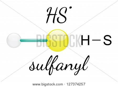 HS sulfanyl 3d molecule isolated on white