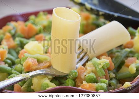 paccheri pasta of gragnano with colored andsteamed vegetable ragout
