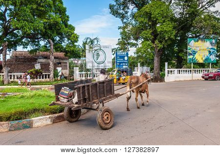 Hell-Ville Madagascar - December 19 2015: Traditional Zebu bull wagon along the street at Hell Ville Nosy Be Island Madagascar.