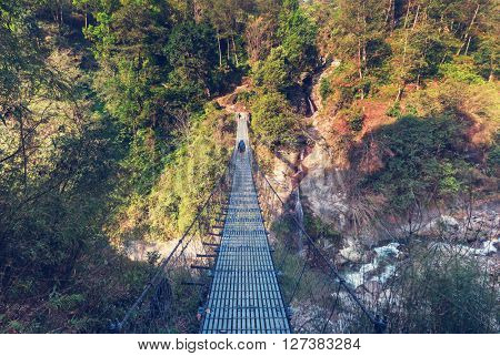 Hiker in Himalayan jungles, Nepal, Kanchenjunga region