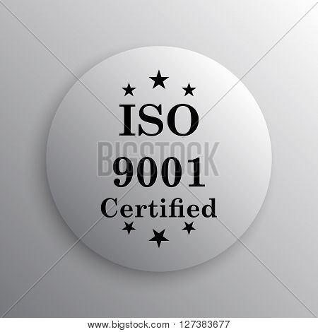 Iso9001 Icon