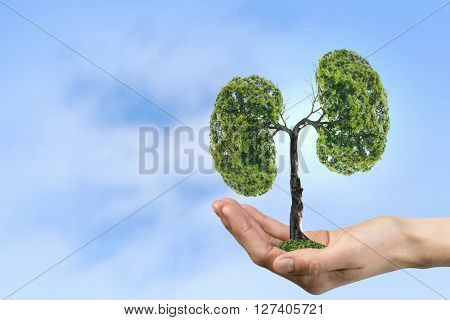 Green eco life 