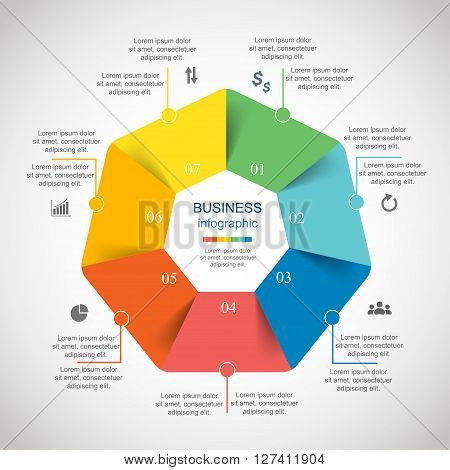 Vector Infographic
