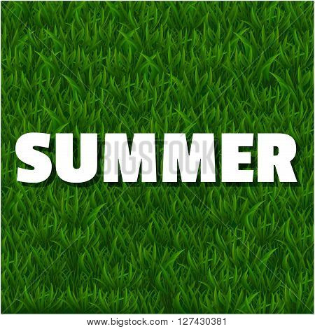 Fresh summer background with grass. Nature spring, summer backgrounds. Vector illustration.
