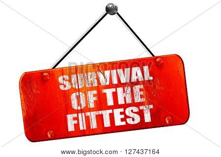 survival of the fittest, 3D rendering, red grunge vintage sign