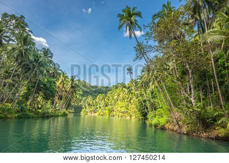View of  jungle green river Loboc at Bohol island of Philippines