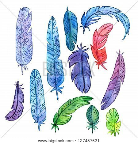 set of watercolor drawing feathers, ornate color plumelet isolated at white background, hand drawn vector elements