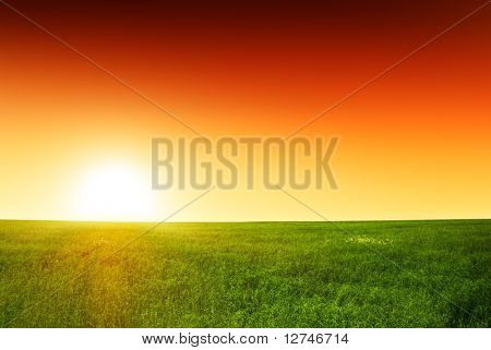 Feld Gras und Sonnenuntergang