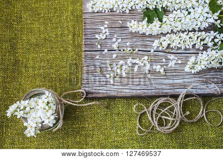 white flowers on a wooden background,spring still life.