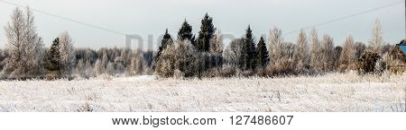 Panorama of a winter forest in the morning. The glade is covered with snow, and trees hoarfrost.