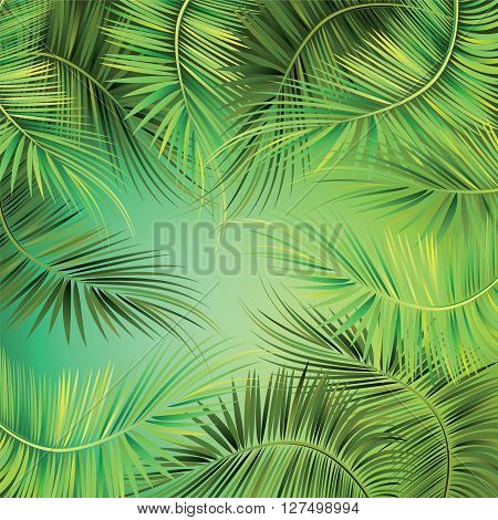 Palm tree branches on green background. Vector illustration.