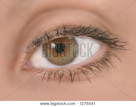 Close Up Of Woman'S Eye In Focus