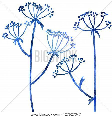 blue dill plants drawing in watercolor, floral composition with wild plants, drawing floral card, watercolor artistic background, hand drawn  illustration