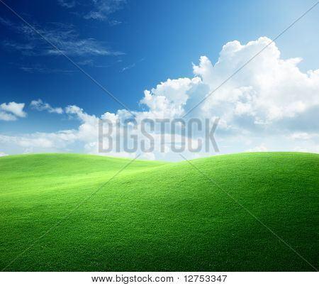 Feld Gras und perfekte blauer Himmel