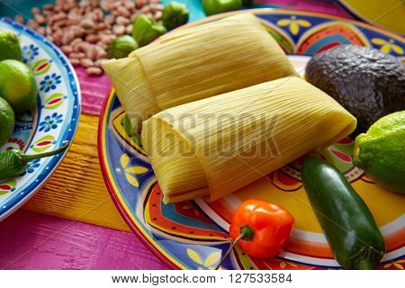 Mexican Tamale tamales of corn leaves with chili and sauces